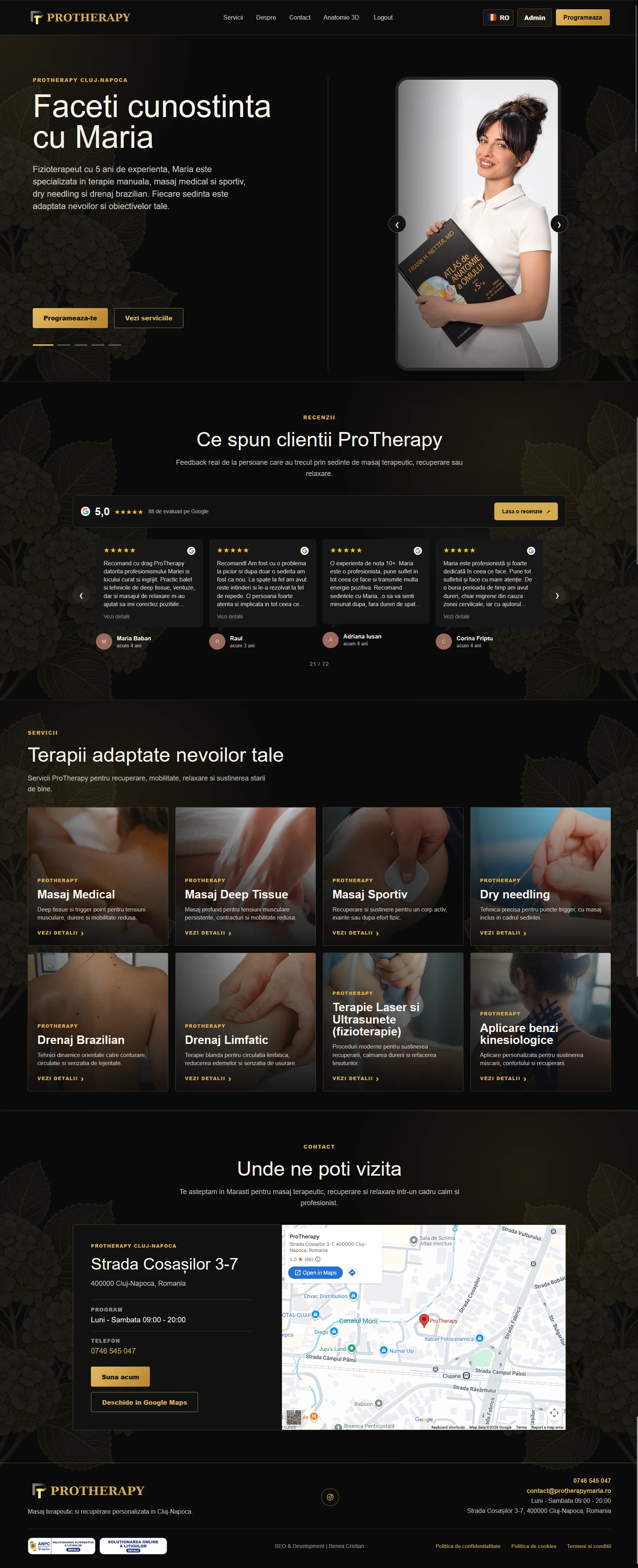 ProTherapy website preview